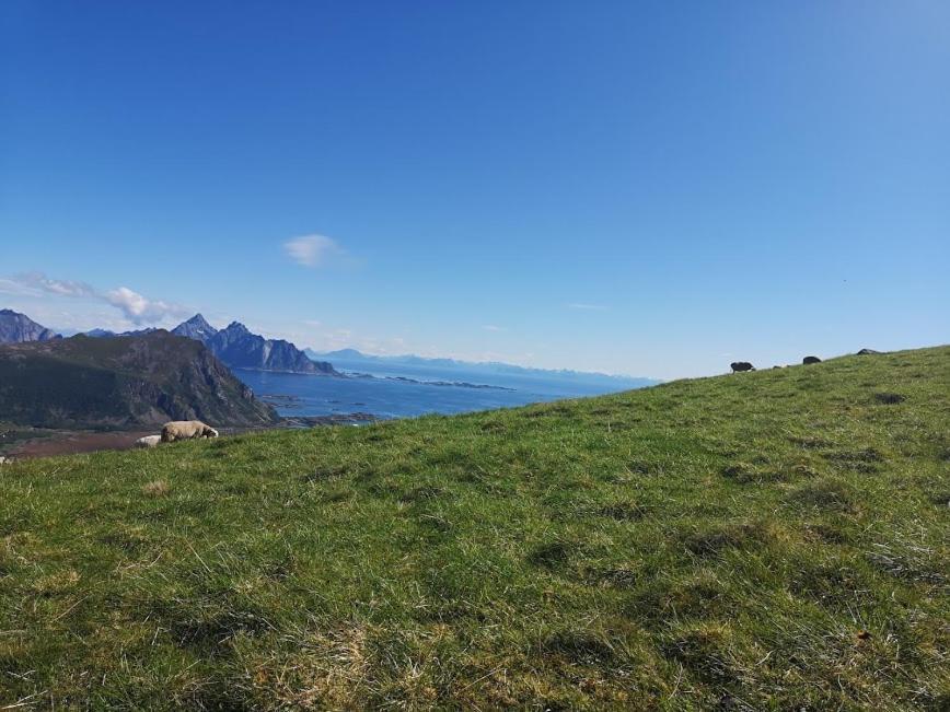 فندق Kongsjordaفي  Glamping Lofoten المظهر الخارجي الصورة